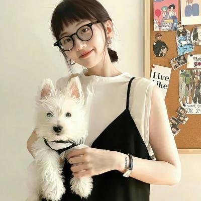 我亲爱的怪物伙伴
